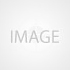 Online Casino No Deposit Bonus United Kingdom 2025